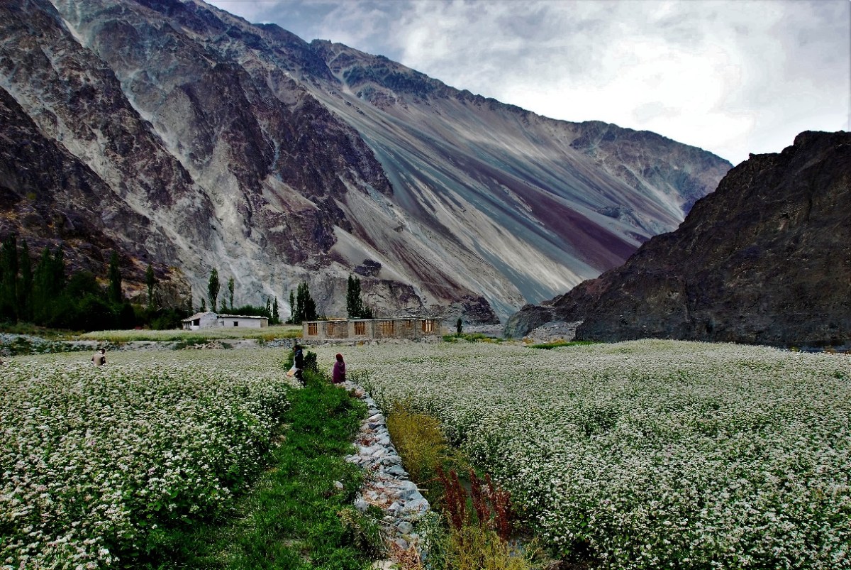 麺のルーツ探索〜ヘレニズム文化より誕生〜